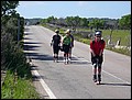 MA-26121734-WT-P1010735.jpg