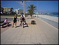 MA-26132148-TG-P1090371.jpg