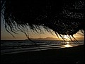 091026-072820-FR-IMG_5023.jpg