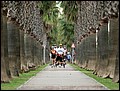 091026-105136-FR-OA1D5551.jpg