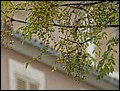 091026-120756-FR-OA1D5700.jpg