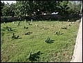 091030-113730-FR-IMG_6279.jpg