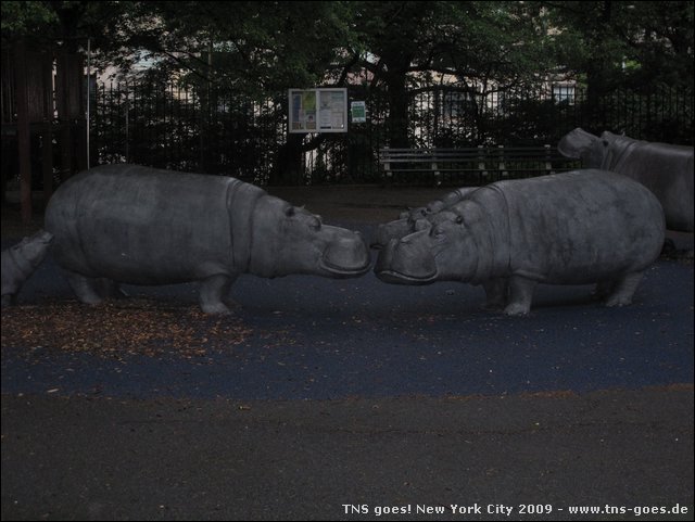 NYC-17070402-JK-IMG_0215.jpg