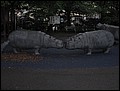 NYC-17070402-JK-IMG_0215.jpg