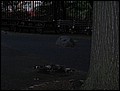 NYC-17070412-JK-IMG_0216.jpg