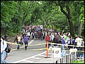 NYC-17104926-JK-IMG_0272.jpg