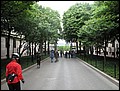 NYC-17115744-JK-IMG_0305.jpg