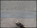 NYC-17131926-JK-IMG_0349.jpg