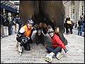 NYC-17133558-JK-IMG_0366.jpg