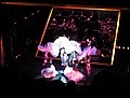 NYC-17193732-DM-IMG_1918.jpg