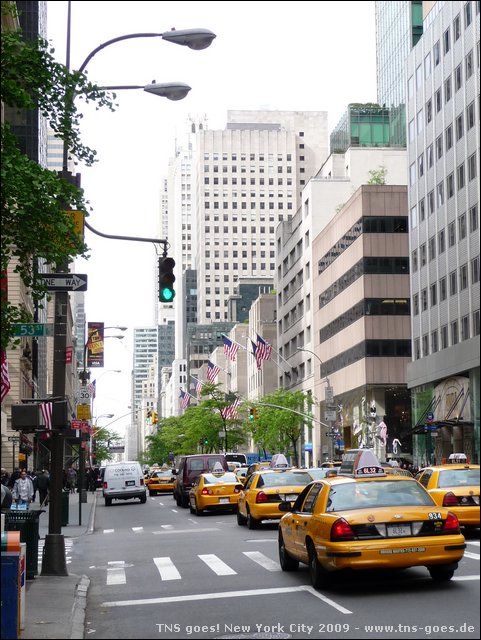 NYC-18093542-CH-P1010813.jpg