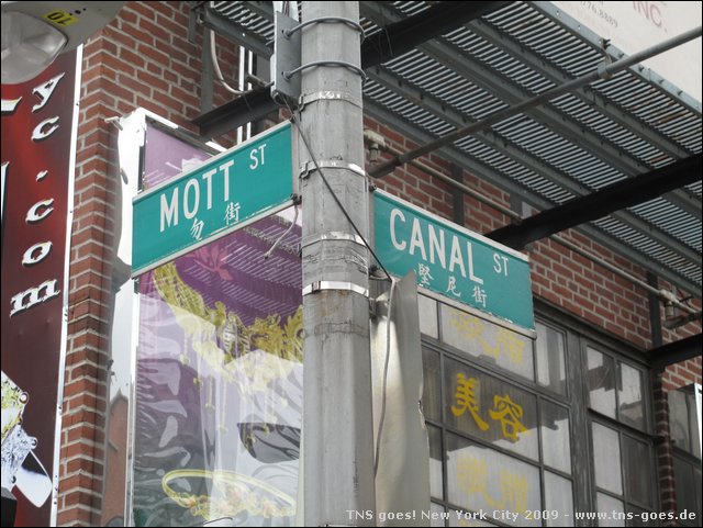 NYC-18123854-JK-IMG_0452.jpg