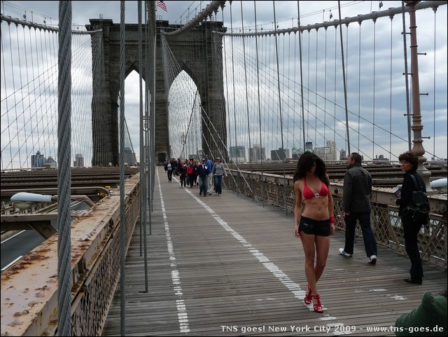 NYC-18134458-CH-P1010893.jpg