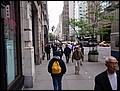 NYC-18093120-EN-P5180319.jpg