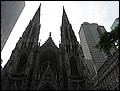 NYC-18093742-JK-IMG_0397.jpg