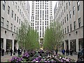 NYC-18094024-JK-IMG_0404.jpg