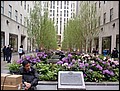 NYC-18094252-EN-P5180332.jpg