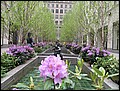 NYC-18094622-JK-IMG_0412.jpg