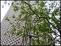 NYC-18100150-EN-P5180342.jpg