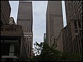 NYC-18100252-EN-P5180343.jpg