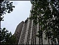 NYC-18121722-EN-P5180382.jpg