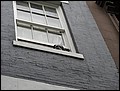 NYC-18130806-JK-IMG_0456.jpg