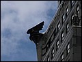 NYC-18142010-CH-P1010901.jpg