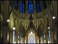 NYC-18155520-DM-IMG_1930.jpg