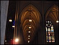 NYC-18155944-EN-P5180420.jpg