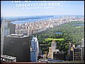 NYC-18160134-DM-IMG_1938.jpg