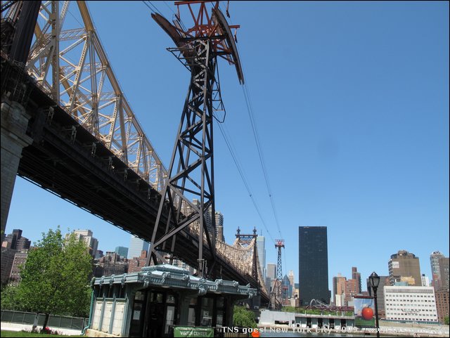 NYC-19115730-JK-IMG_0583.jpg