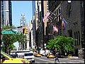 NYC-19104140-CH-P1010975.jpg