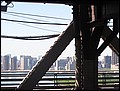 NYC-19110810-JK-IMG_0572.jpg