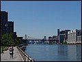 NYC-19115202-EN-P5190441.jpg