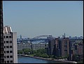 NYC-19121952-EN-P5190447.jpg