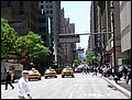 NYC-19123204-CH-P1020027.jpg