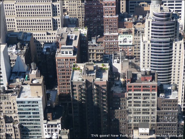 NYC-21091434-CH-P1020195.jpg