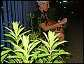 100608-220250-FO-CIMG0845.jpg