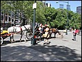 100513-102236-AB-IMG_2095.jpg