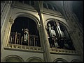 100513-113416-DM-IMG_1529.jpg