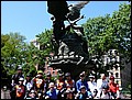 100513-114656-CH-P1020983.jpg