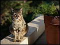 100213-080246-IMG_3601-FR.jpg