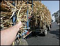 100213-104600-IMG_3742-FR.jpg