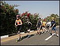 100214-102238-IMG_5383-FR.jpg