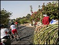 100214-102638-IMG_5390-FR.jpg