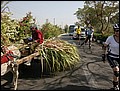 100214-102640-IMG_5391-FR.jpg