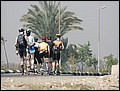 100214-110112-OA1D5512-FR.jpg