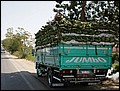 100214-112652-IMG_5523-FR.jpg