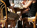 100215-092750-OA1D5884-FR.jpg