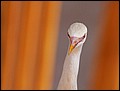 100215-093204-OA1D5889-FR.jpg